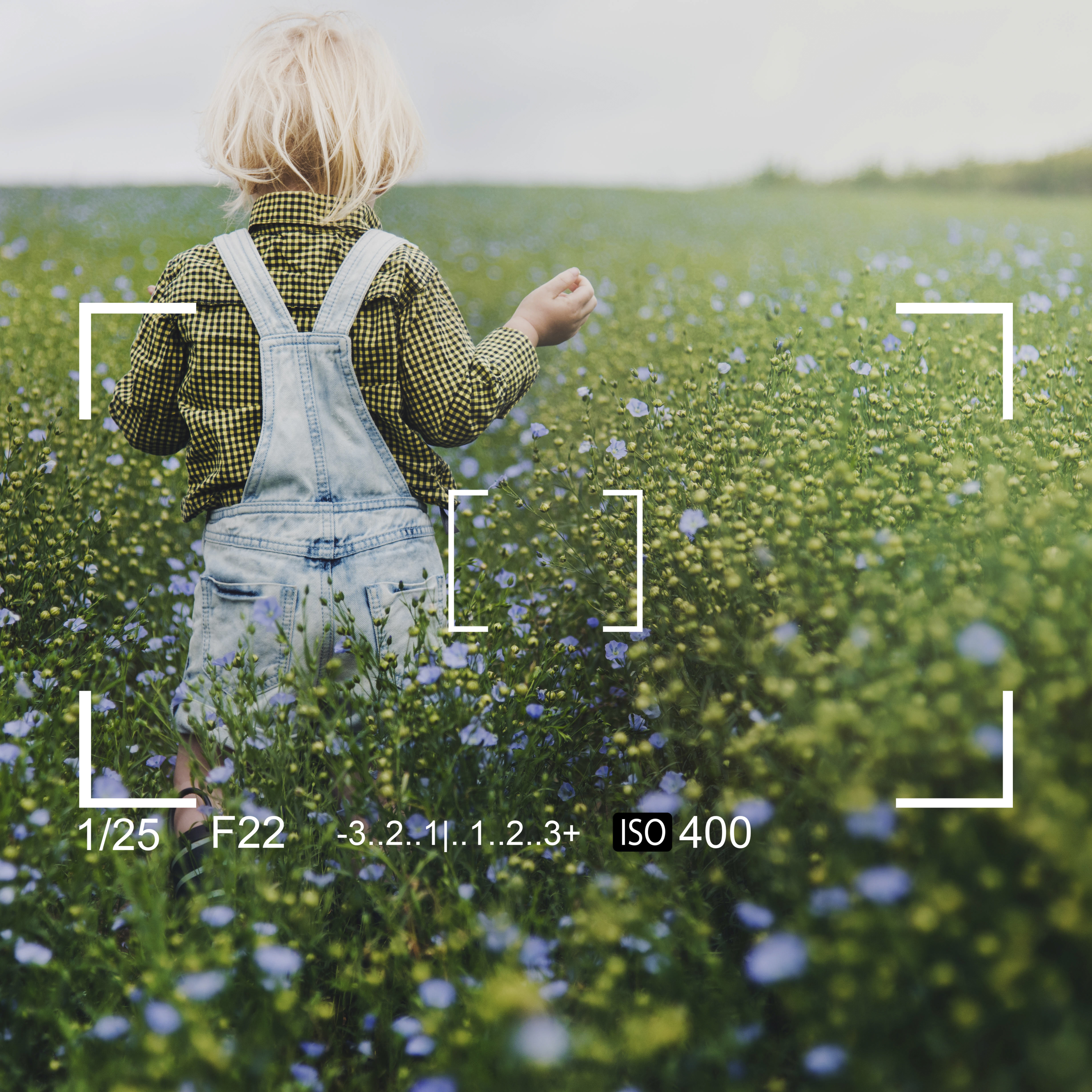 Resize images